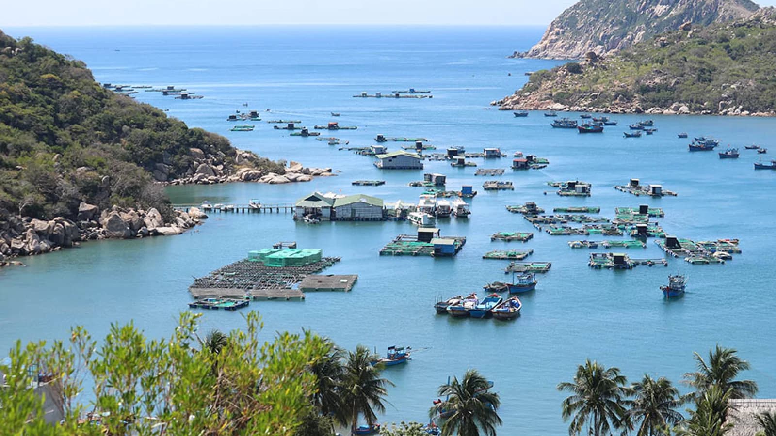 Vịnh Vĩnh Hy
